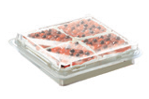 italian desserts in foodservice packaging