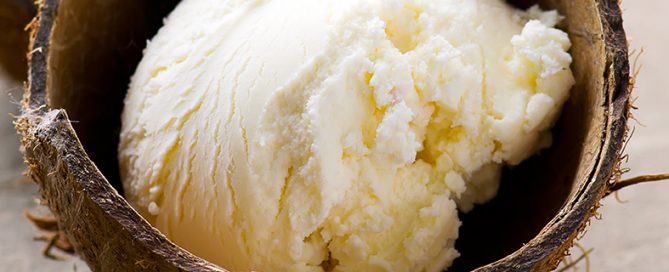 plant based frozen desserts